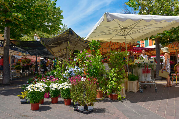 Flower market in Nice, France